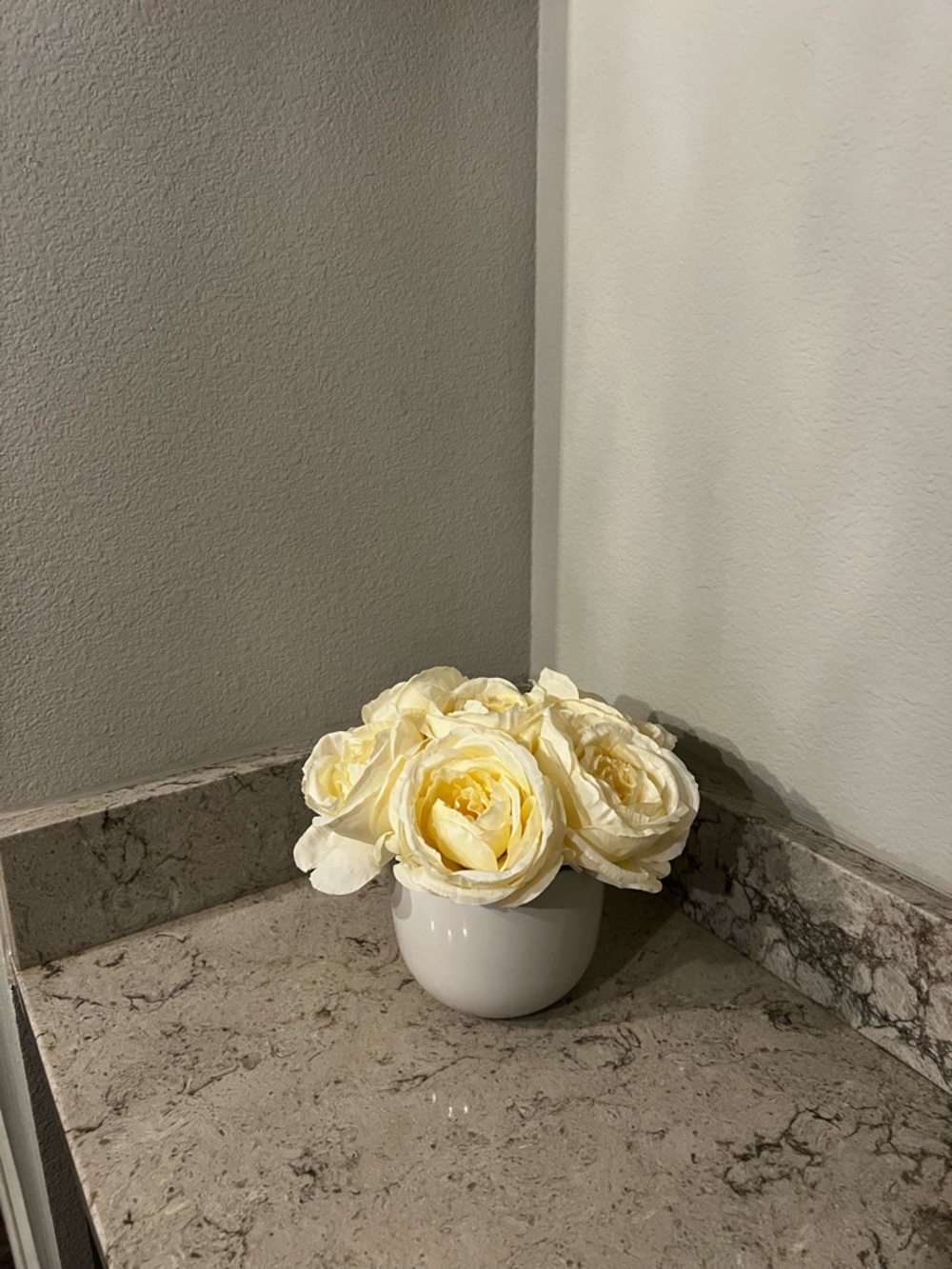 💕 Classic Cream Rose Arrangement in White Vase 💕